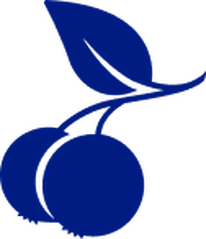 Blueberry’s Grill logo